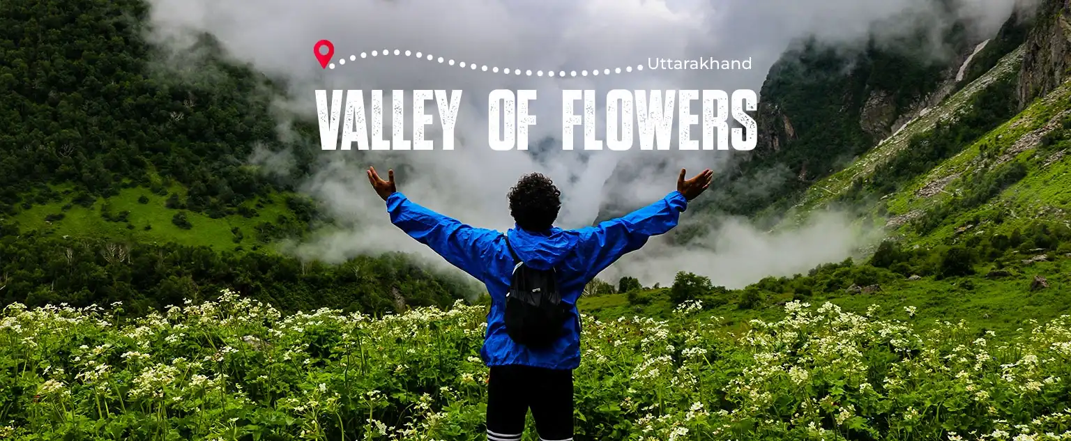 Valley Of Flowers